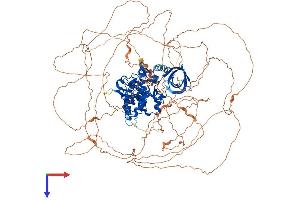 AlphaFold protein structure predicition of Mouse Recombinant Hipk3 Protein, UniprotID Q9ERH7
