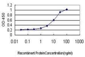 Detection limit for recombinant GST tagged INPPL1 is approximately 0. (INPPL1 anticorps  (AA 1159-1258))