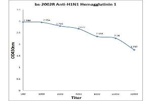 anti-Hemagglutinin antibody (Influenza A Virus H1N1 (A/California/04/2009)) (AA 151-250)
