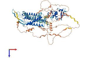 AlphaFold protein structure predicition of Human Recombinant KCNC3 Protein, UniprotID Q14003