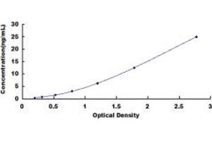 Image no. 1 for Apolipoprotein E (APOE) ELISA Kit (ABIN1874304)
