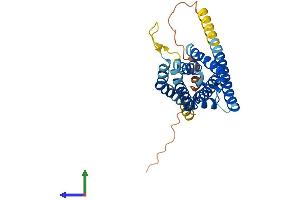 AlphaFold protein structure predicition of Mouse Recombinant Hacd1 Protein, UniprotID Q9QY80