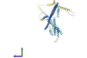 AlphaFold protein structure predicition of Human Recombinant CCDC93 Protein, UniprotID Q567U6