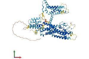 AlphaFold protein structure predicition of Human Recombinant TPCN2 Protein, UniprotID Q8NHX9