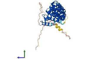 AlphaFold protein structure predicition of Human Recombinant ARMC10 Protein, UniprotID Q8N2F6