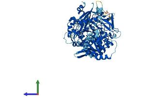 AlphaFold protein structure predicition of Human Recombinant ACSBG2 Protein, UniprotID Q5FVE4