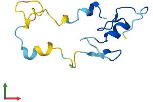 AlphaFold protein structure predicition of Human Recombinant CRIPT Protein, UniprotID Q9P021