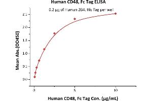 Immobilized Human 2B4, His Tag (ABIN2180730,ABIN2180731) at 2 μg/mL (100 μL/well) can bind Human CD48, Fc Tag (ABIN5674623,ABIN6253683) with a linear range of 0. (CD48 Protein (CD48) (AA 27-220) (Fc Tag))