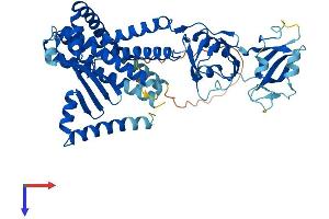 AlphaFold protein structure predicition of Human Recombinant MBTPS2 Protein, UniprotID O43462