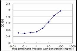 ELISA image for anti-N-Acylsphingosine Amidohydrolase (Acid Ceramidase) 1 (ASAH1) (AA 25-125) antibody (ABIN782337)