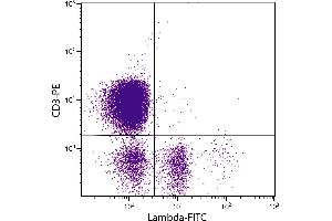 Chicken peripheral blood lymphocytes were stained with Mouse Anti-Chicken Lambda-FITC. (Souris anti-Poulet lambda Anticorps (FITC))
