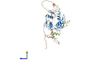 AlphaFold protein structure predicition of Human Recombinant ZNF669 Protein, UniprotID Q96BR6