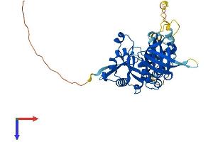 FERM Domain Containing 8 Pseudogene 1 (FRMD8P1) (AA 1-369) protein (His tag)