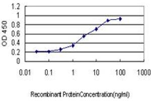 Detection limit for recombinant GST tagged POLS is approximately 0.