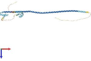 AlphaFold protein structure predicition of Mouse Recombinant Cracr2b Protein, UniprotID Q80ZJ8