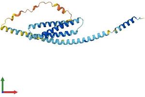 AlphaFold protein structure predicition of Human Recombinant STX8 Protein, UniprotID Q9UNK0