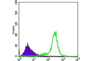 Flow cytometric analysis of K562 cells using IL34 mouse mAb (green) and negative control (purple).