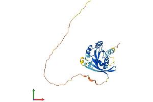 AlphaFold protein structure predicition of Human Recombinant RAB26 Protein, UniprotID Q9ULW5