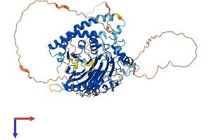 AlphaFold protein structure predicition of Human Recombinant SMPD3 Protein, UniprotID Q9NY59