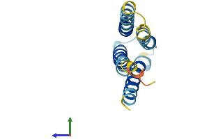 AlphaFold protein structure predicition of Human Recombinant LEPROTL1 Protein, UniprotID O95214