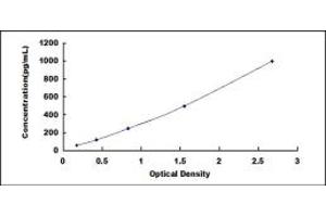 Typical standard curve (GZMM Kit ELISA)