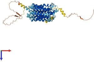AlphaFold protein structure predicition of Human Recombinant SLC18A2 Protein, UniprotID Q05940