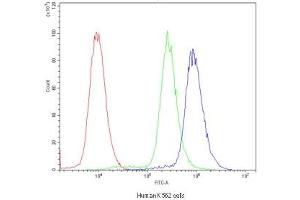 Flow cytometry testing of human K562 cells with POR antibody at 1ug/10^6 cells (blocked with goat sera) (POR anticorps)
