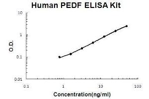 Human PEDF/SerpinF1 PicoKine ELISA Kit standard curve
