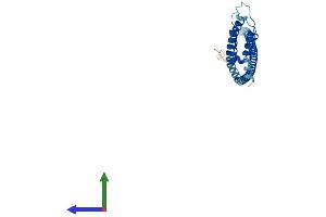 AlphaFold protein structure predicition of Mouse Recombinant Ccdc127 Protein, UniprotID Q3TC33