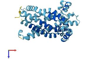 AlphaFold protein structure predicition of Human Recombinant SLC25A15 Protein, UniprotID Q9Y619
