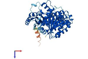 AlphaFold protein structure predicition of Human Recombinant TUBB8 Protein, UniprotID Q3ZCM7