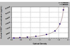 Typical standard curve (REST Kit ELISA)