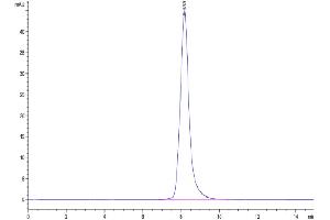 The purity of Human IL-23R is greater than 95 % as determined by SEC-HPLC.