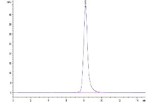 The purity of Human IL-23R is greater than 95 % as determined by SEC-HPLC. (IL23R Protein (AA 24-355) (His tag))
