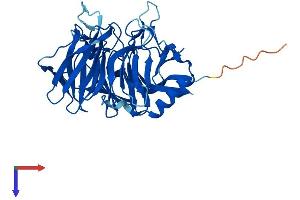 AlphaFold protein structure predicition of Mouse Recombinant Klhdc9 Protein, UniprotID Q3USL1