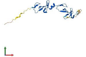 AlphaFold protein structure predicition of Human Recombinant LMO4 Protein, UniprotID P61968