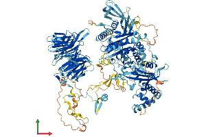 AlphaFold protein structure predicition of Human Recombinant PAN2 Protein, UniprotID Q504Q3
