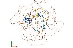 AlphaFold protein structure predicition of Mouse Recombinant Atxn2 Protein, UniprotID O70305