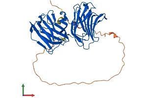 AlphaFold protein structure predicition of Human Recombinant LGALS9 Protein, UniprotID O00182