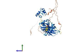 AlphaFold protein structure predicition of Human Recombinant TFCP2 Protein, UniprotID Q12800