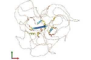 AlphaFold protein structure predicition of Mouse Recombinant Krba1 Protein, UniprotID Q6NXZ1