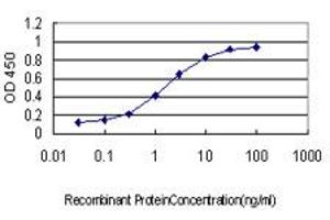 Detection limit for recombinant GST tagged GML is approximately 0. (GML anticorps  (AA 48-158))