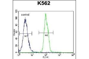SFRP4 Antibody (C-term) (ABIN655521 and ABIN2845035) flow cytometric analysis of K562 cells (right histogram) compared to a negative control cell (left histogram). (SFRP4 anticorps  (C-Term))