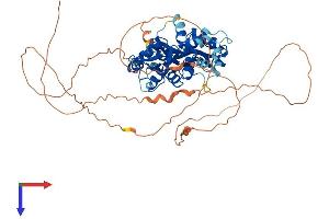 AlphaFold protein structure predicition of Mouse Recombinant Prkag2 Protein, UniprotID Q91WG5