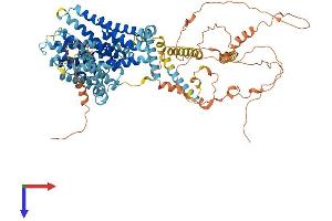AlphaFold protein structure predicition of Human Recombinant SLC9A3 Protein, UniprotID P48764