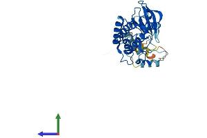 AlphaFold protein structure predicition of Mouse Recombinant Nek6 Protein, UniprotID Q9ES70