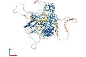 AlphaFold protein structure predicition of Mouse Recombinant Sbno2 Protein, UniprotID Q7TNB8