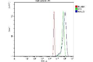 Flow Cytometry analysis of SiHa cells using anti-RAB23 antibody (ABIN7600675). (RAB23 anticorps  (AA 22-168))