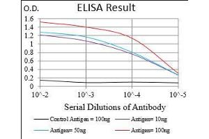 Black line: Control Antigen (100 ng), Purple line: Antigen(10 ng), Blue line: Antigen (50 ng), Red line: Antigen (100 ng), (MCAM anticorps  (AA 84-189))