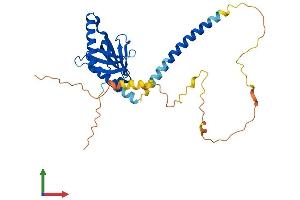 AlphaFold protein structure predicition of Human Recombinant GULP1 Protein, UniprotID Q9UBP9